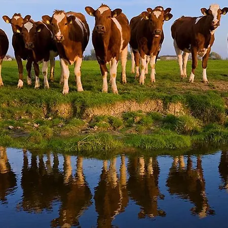 Apartment Seerosenhof Poppenbull